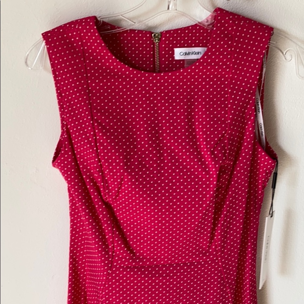 Calvin Klein Pink Dot address Dress